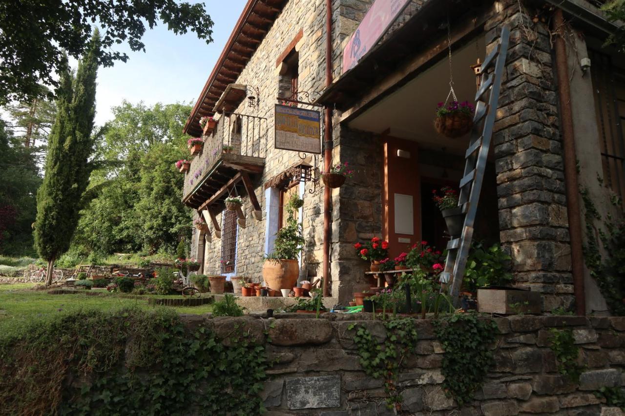 Vila Casa Maria Berna Sarvisé Exteriér fotografie